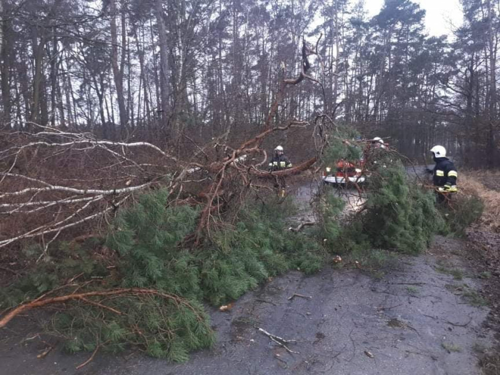 Skutki wichury w powiecie jarocińskim
