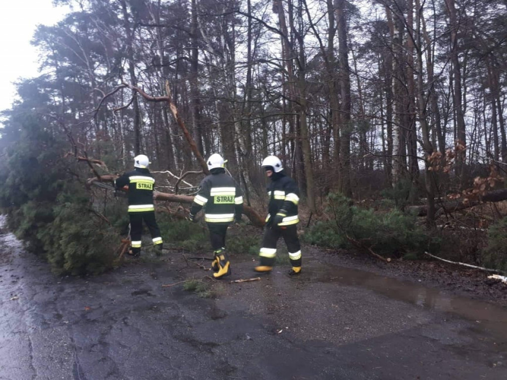 Skutki wichury w powiecie jarocińskim