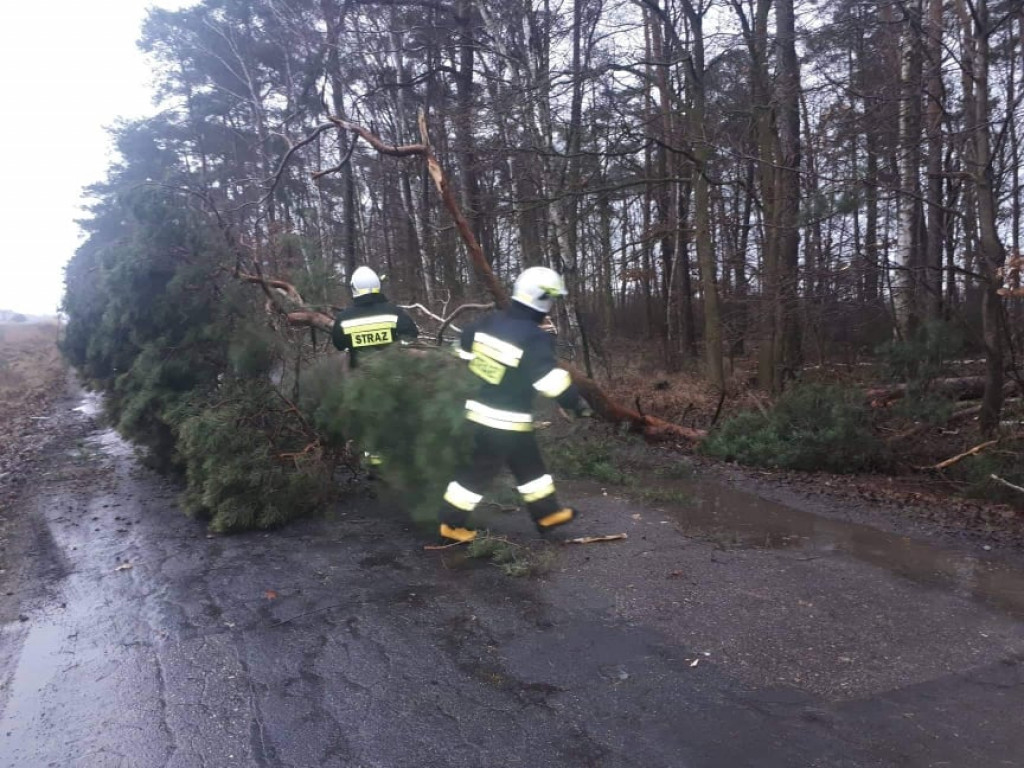 Skutki wichury w powiecie jarocińskim