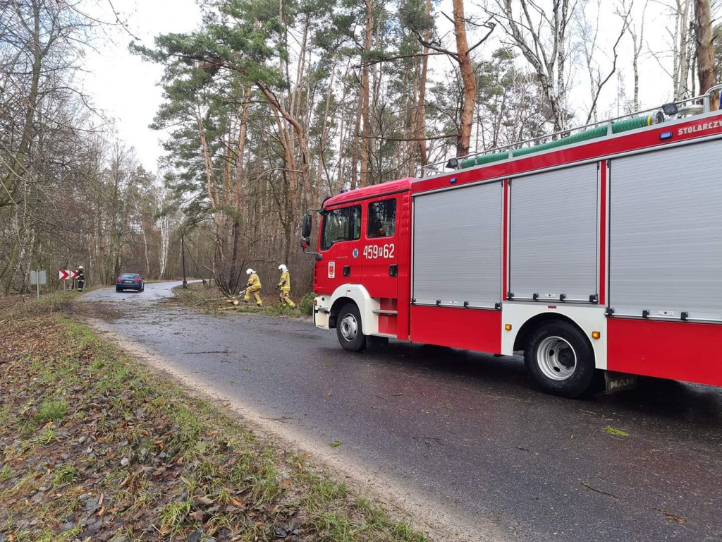 Skutki wichury w powiecie jarocińskim