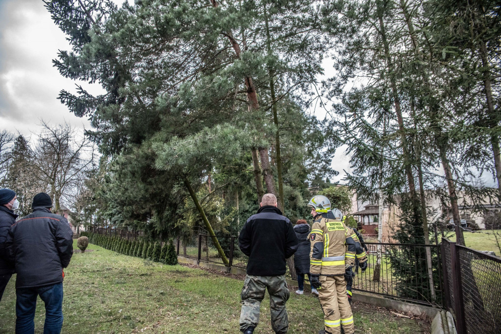 Podsumowanie wietrznego weekendu w powiecie krotoszyńskim