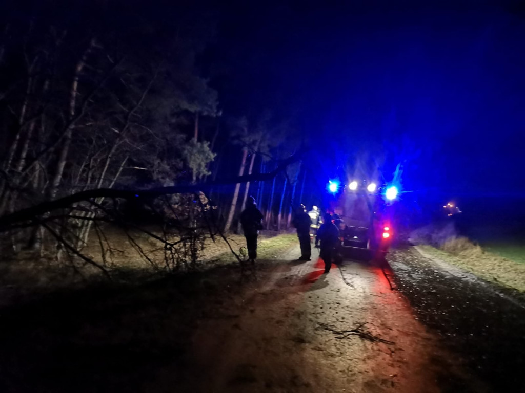 Skutki wichury w powiecie jarocińskim