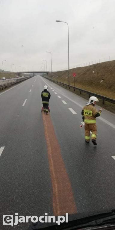 Plama oleju od Goliny do Mieszkowa