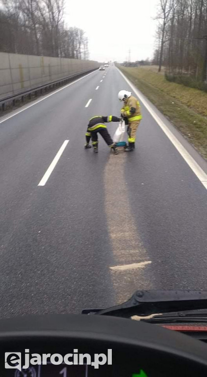 Plama oleju od Goliny do Mieszkowa