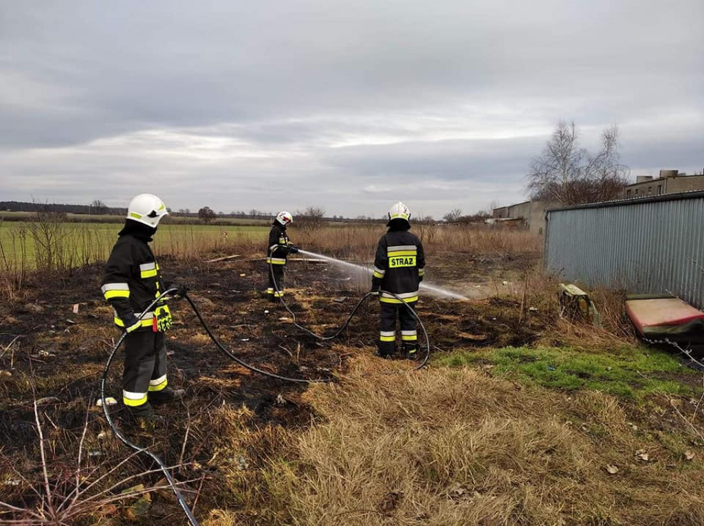 Pożar trawy w Hilarowie