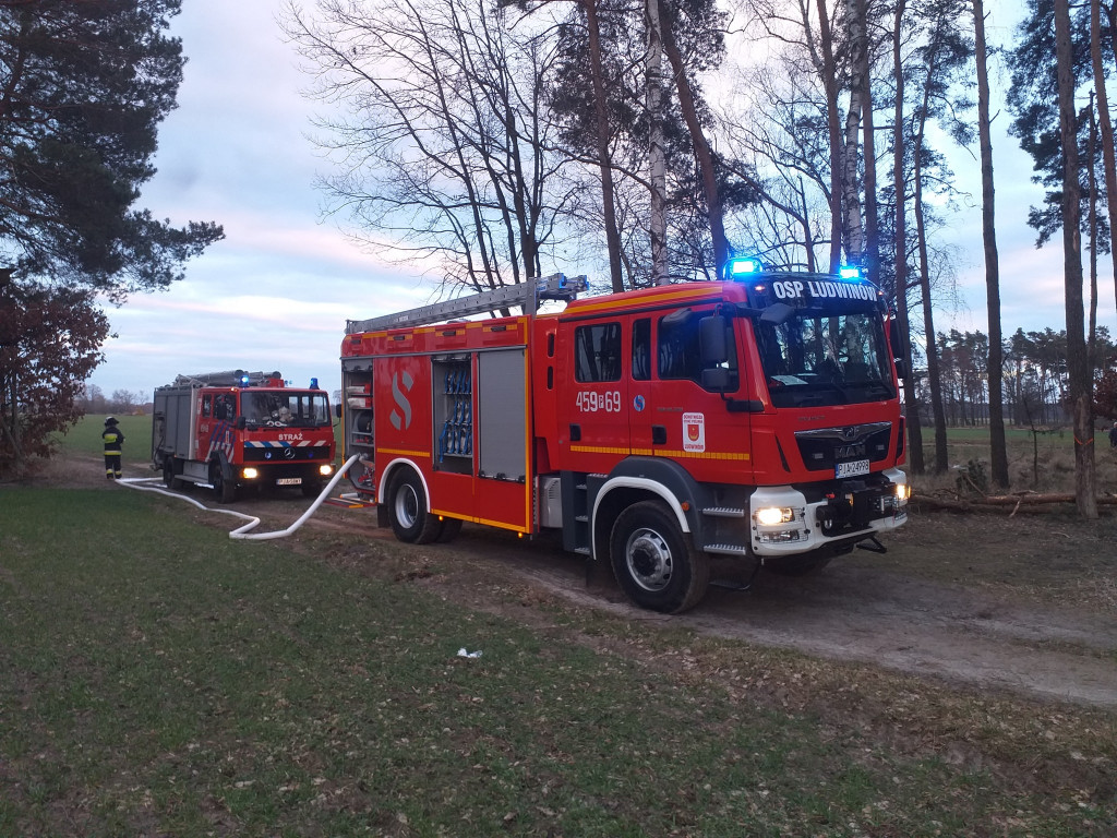Pożar lasu w Ludwinowie