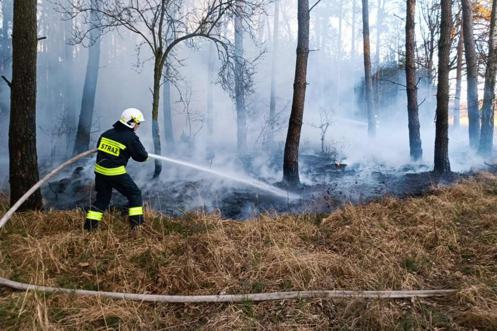 Plaga pożarów traw w powiecie jarocińskim