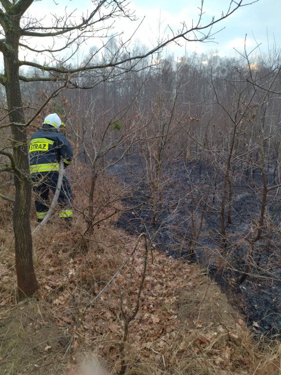 Plaga pożarów traw w powiecie jarocińskim
