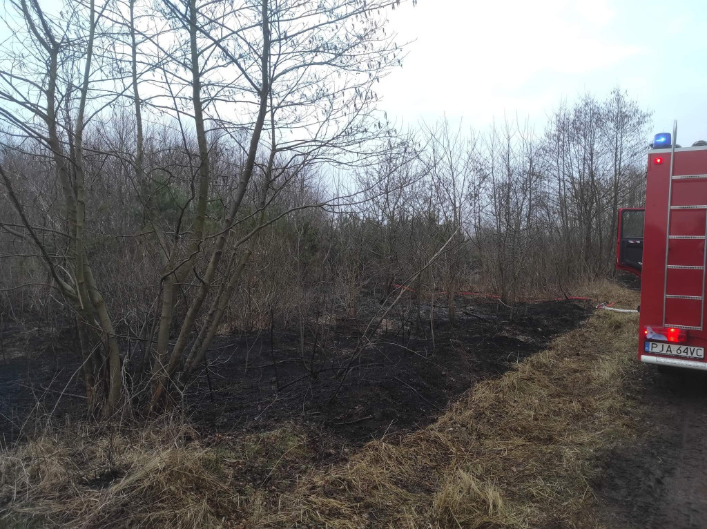 Plaga pożarów traw w powiecie jarocińskim