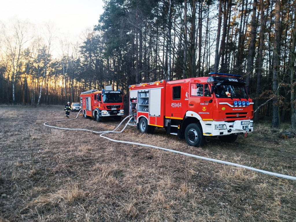 Plaga pożarów traw w powiecie jarocińskim