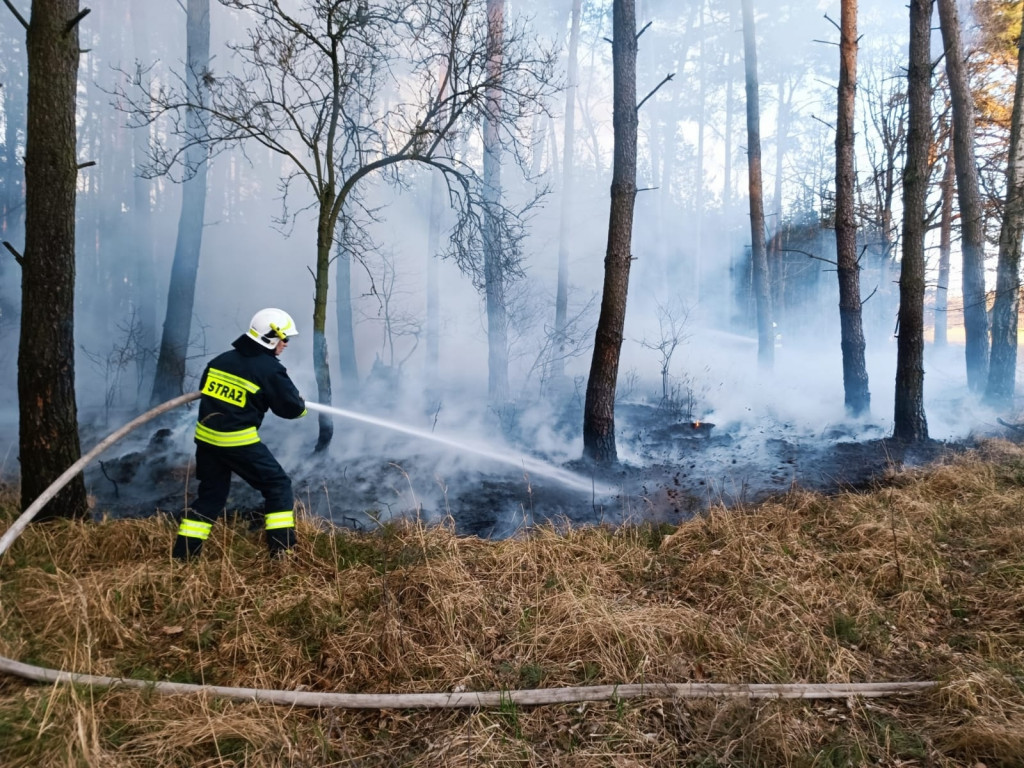 Plaga pożarów traw w powiecie jarocińskim