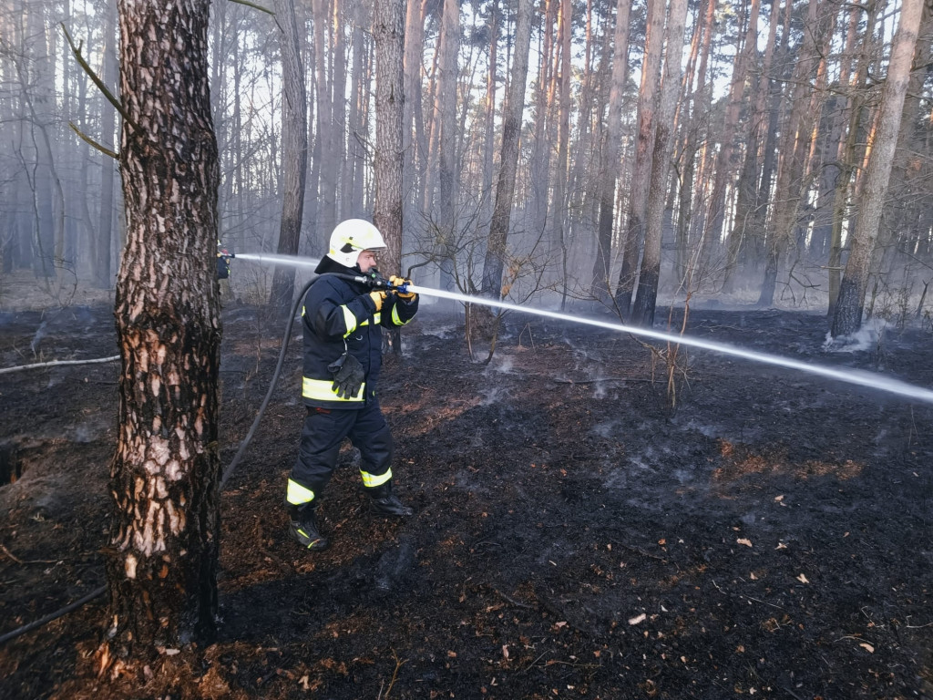 Plaga pożarów traw w powiecie jarocińskim