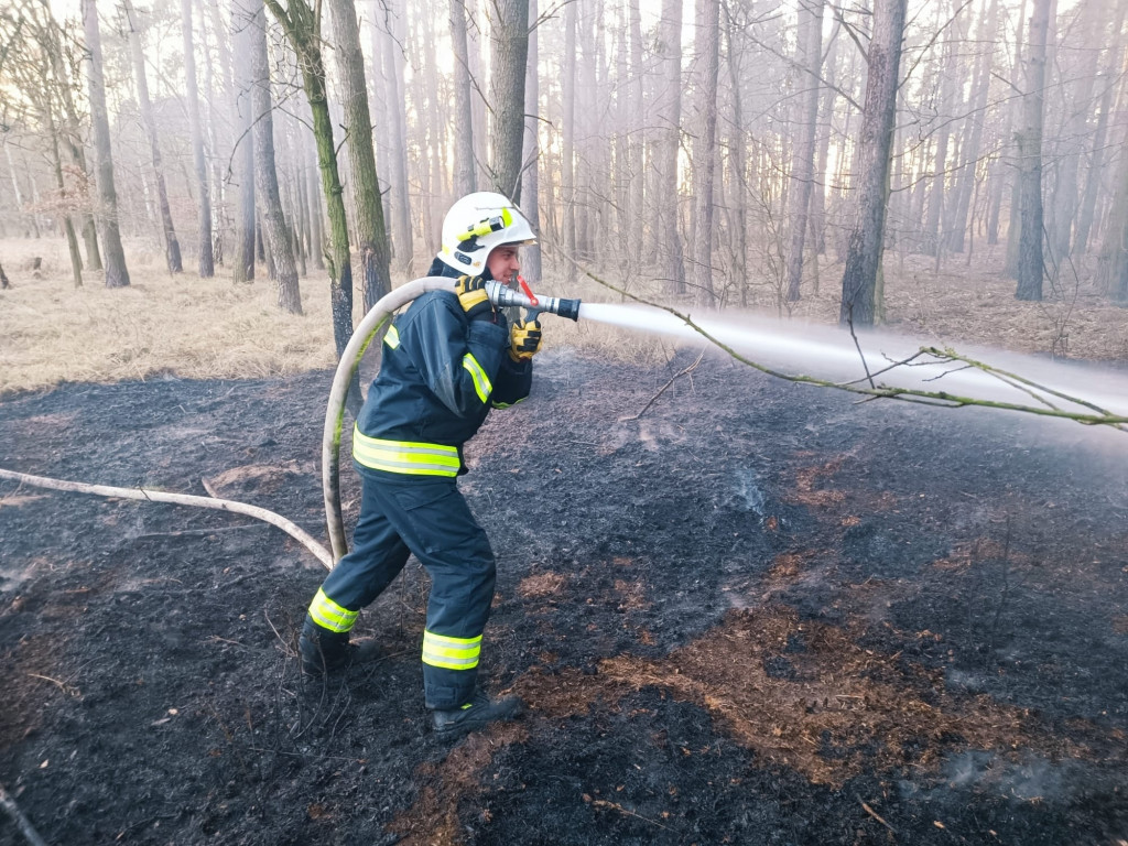 Plaga pożarów traw w powiecie jarocińskim