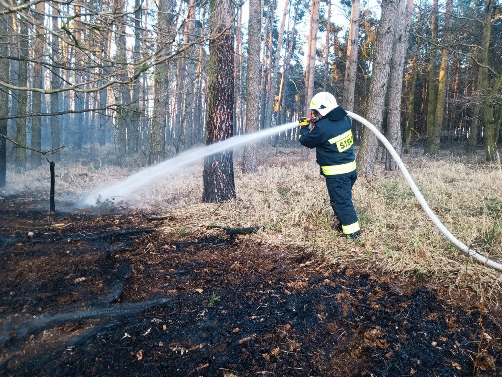 Plaga pożarów traw w powiecie jarocińskim