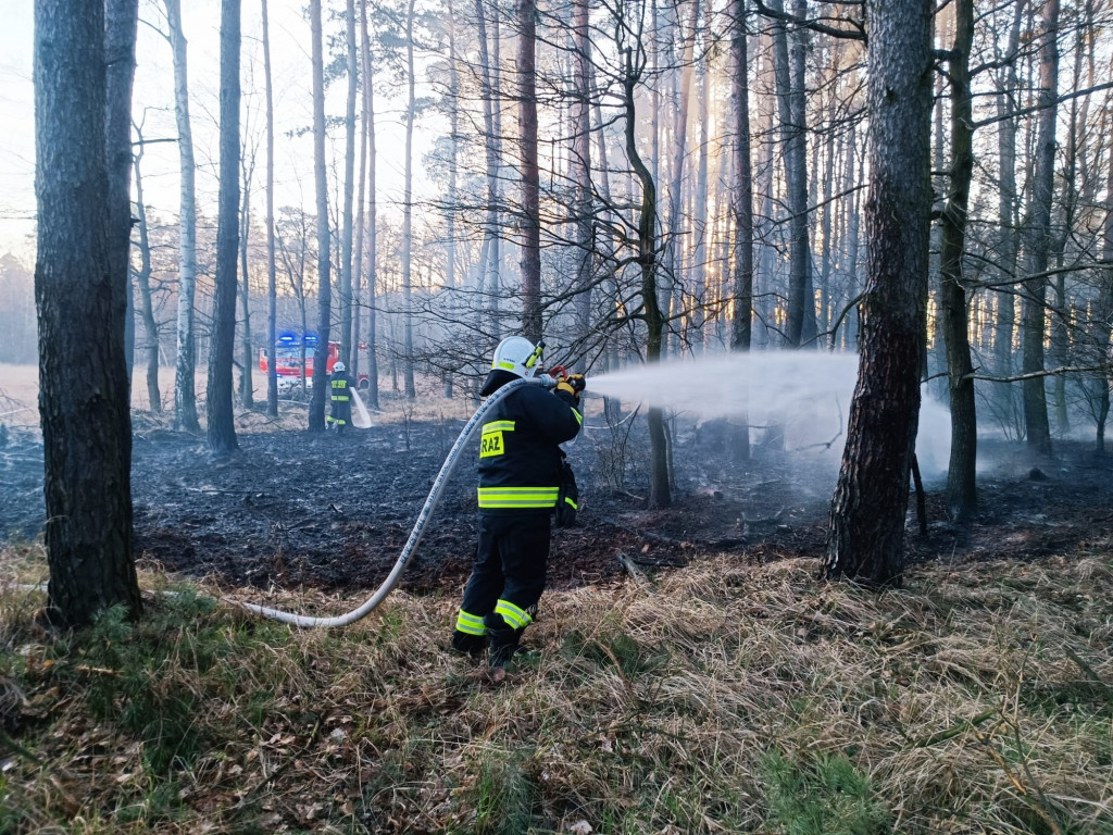 Plaga pożarów traw w powiecie jarocińskim