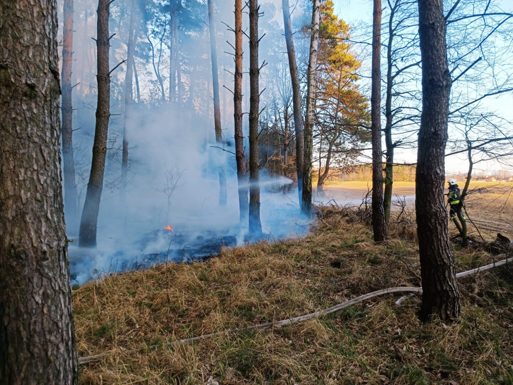 Plaga pożarów traw w powiecie jarocińskim