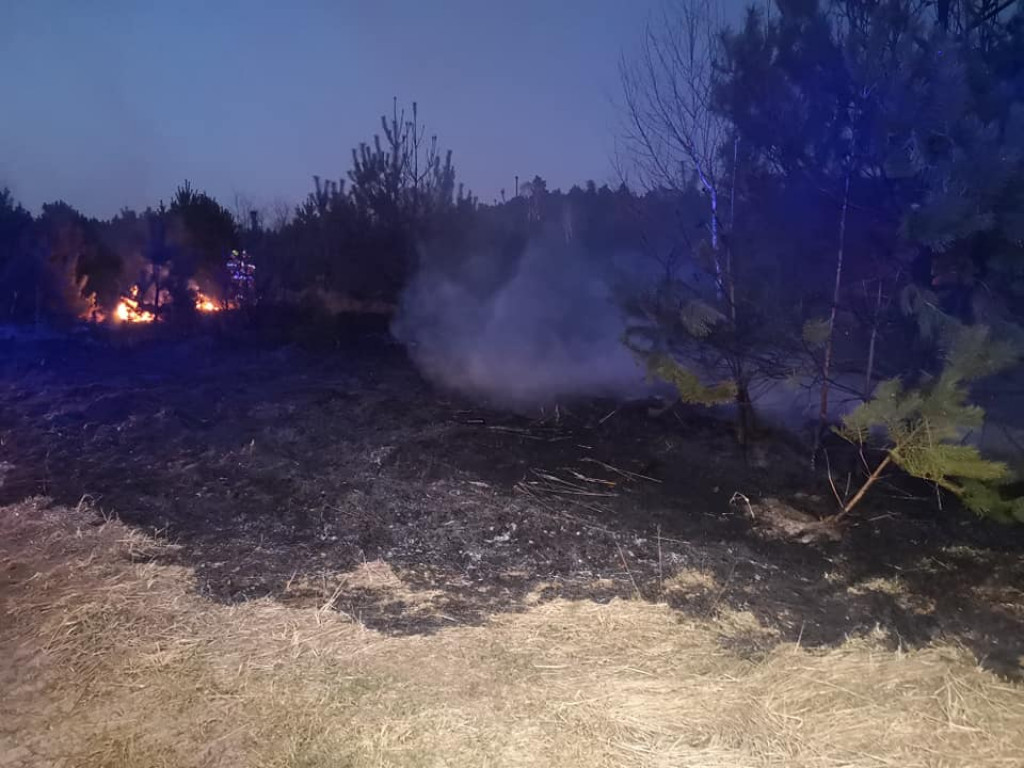 Plaga pożarów traw w powiecie jarocińskim