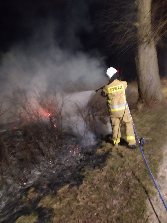 Plaga pożarów traw w powiecie jarocińskim