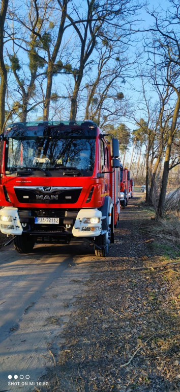 Plaga pożarów traw w powiecie jarocińskim