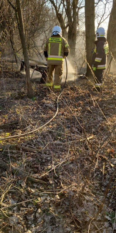 Plaga pożarów traw w powiecie jarocińskim