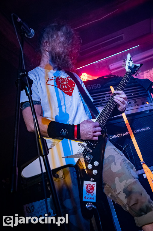 PUNKY REGGAE live 2022