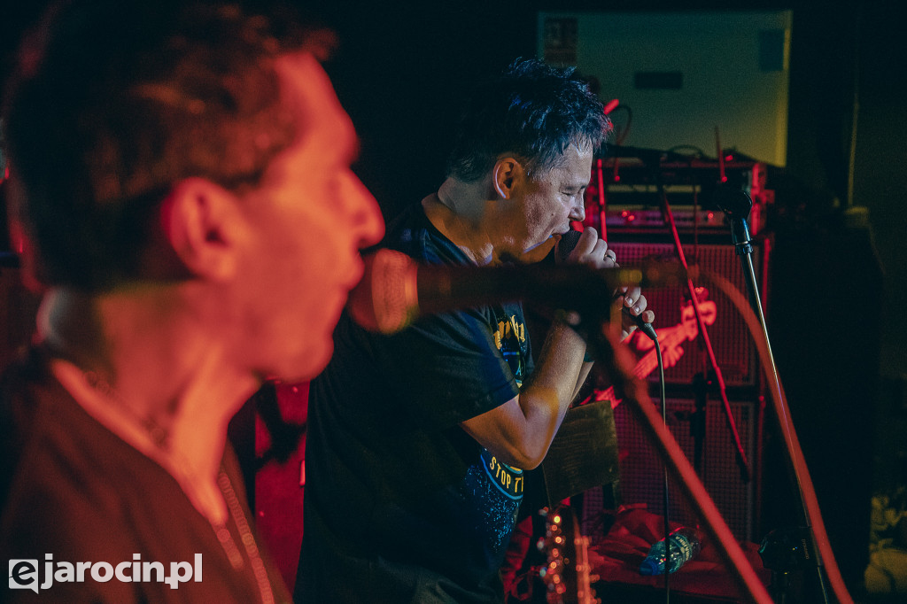 PUNKY REGGAE live 2022