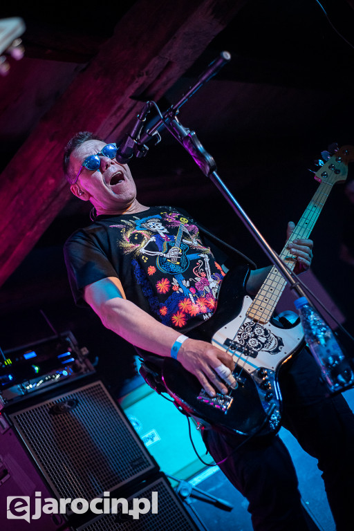PUNKY REGGAE live 2022