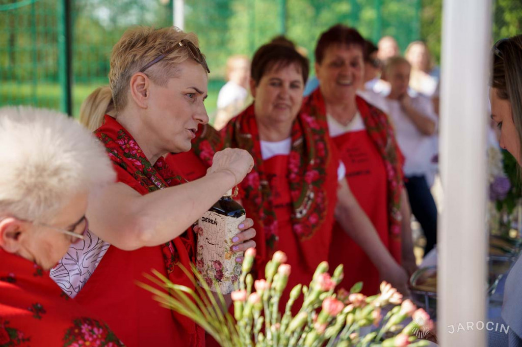 Festyn Rodzinny w Wilkowyi