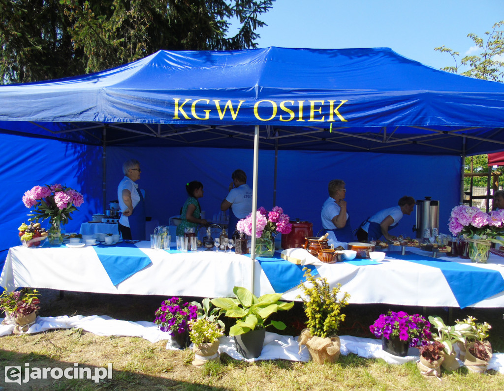 Festyn Rodzinny w Osieku