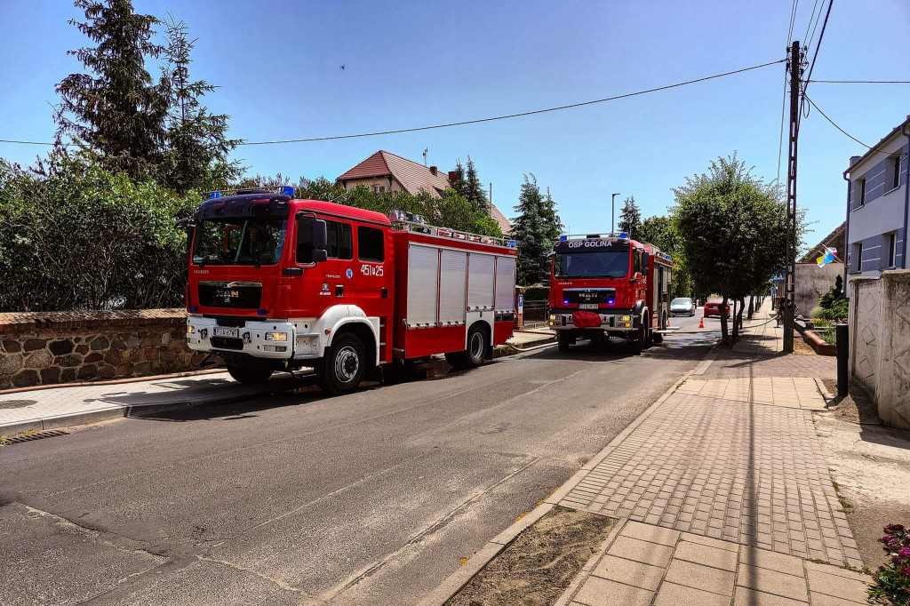Pożary traw w Siedleminie i Jarocinie