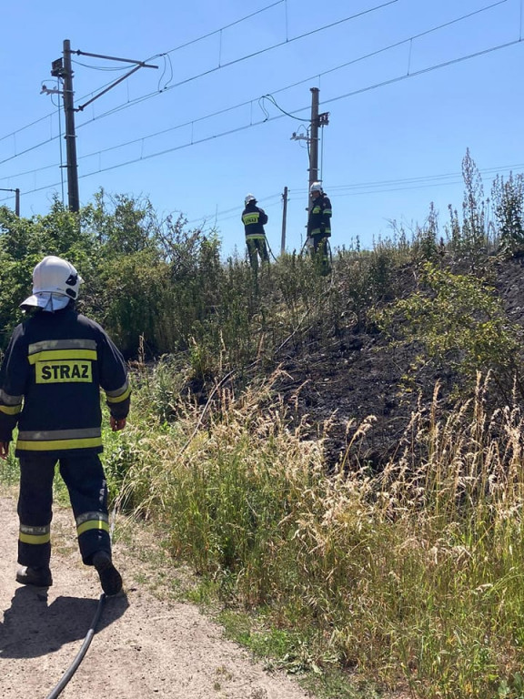 Pożary traw w Siedleminie i Jarocinie