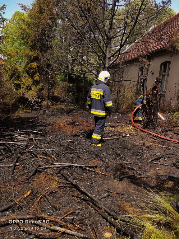 Pożary traw w Siedleminie i Jarocinie
