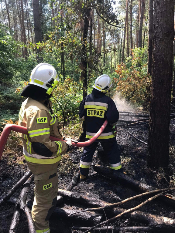 Pożar w lesie i przy przejeździe kolejowym