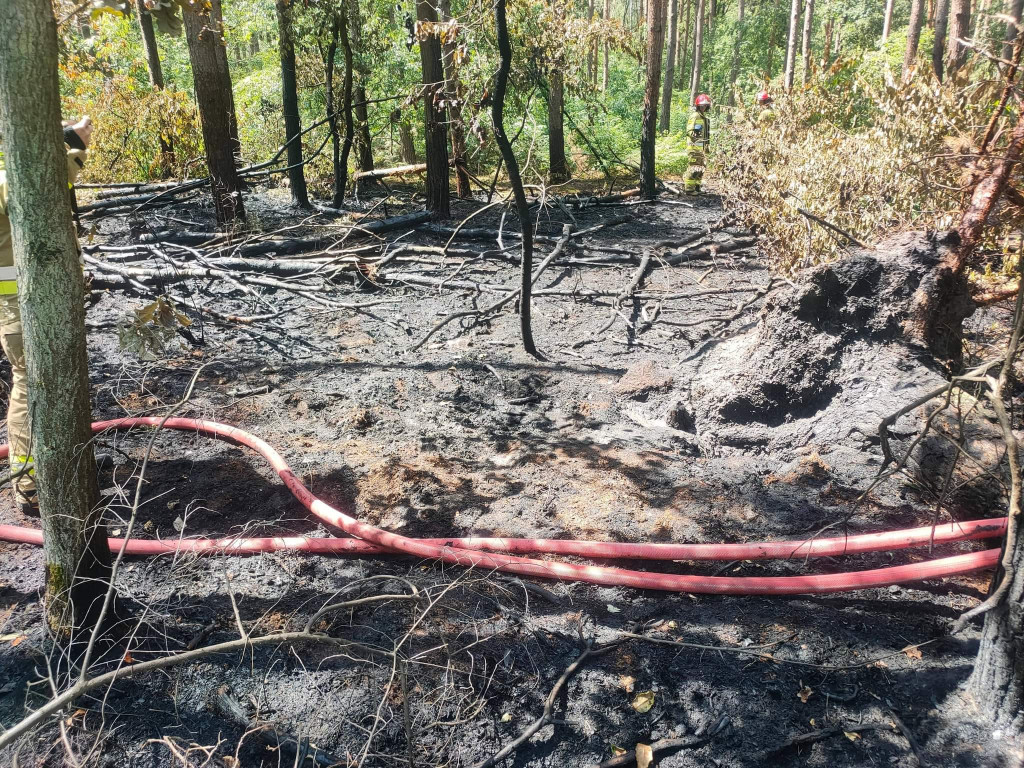 Pożar w lesie i przy przejeździe kolejowym
