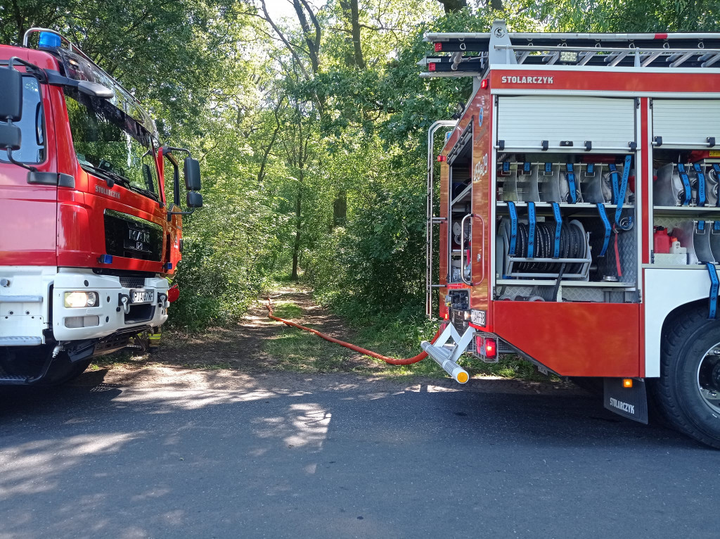 Pożar w lesie i przy przejeździe kolejowym