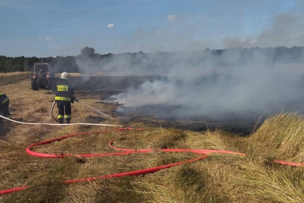Pożar trawy w Lubinii Małej
