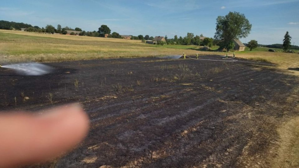 Pożar trawy w Lubinii Małej