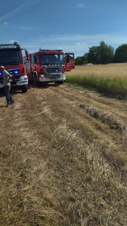 Pożar trawy w Lubinii Małej