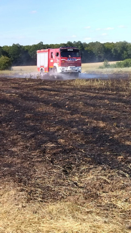 Pożar trawy w Lubinii Małej