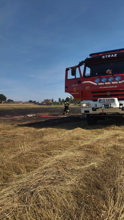 Pożar trawy w Lubinii Małej