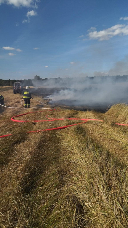 Pożar trawy w Lubinii Małej
