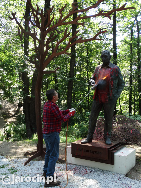 Czyszczenie pomnika prof. Jana Szyszko w Jarocinie