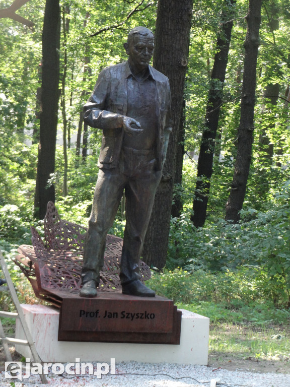 Czyszczenie pomnika prof. Jana Szyszko w Jarocinie