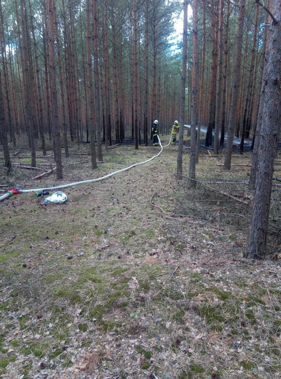 Dwa dni. Dwa pożary w lasach na terenie gminy Jarocin