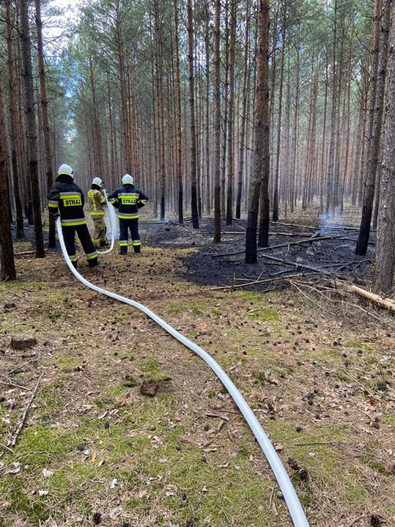 Dwa dni. Dwa pożary w lasach na terenie gminy Jarocin