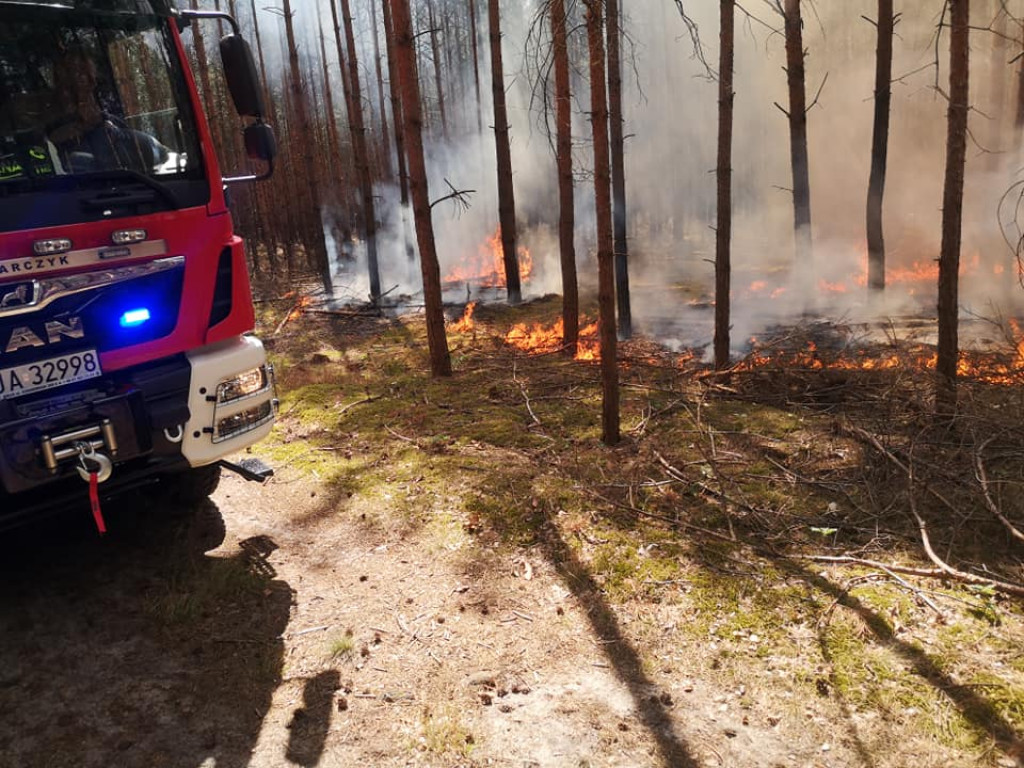 Dwa dni. Dwa pożary w lasach na terenie gminy Jarocin