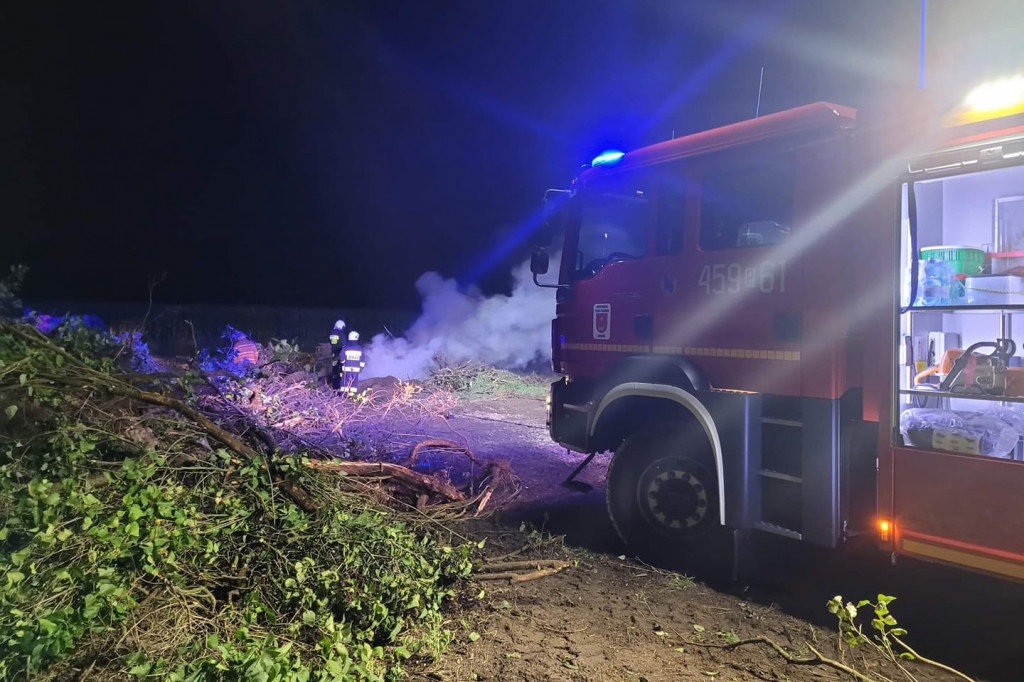 Żerków. Pożar na polu w Brzostkowie