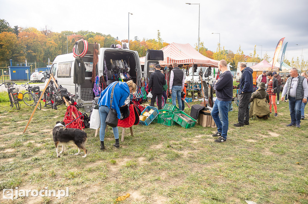 Hubertus Wielkopolski 2022 - dzień drugi