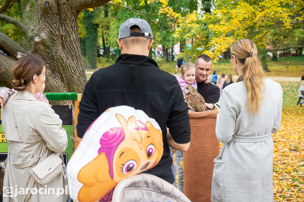 Hubertus Wielkopolski 2022 - dzień drugi