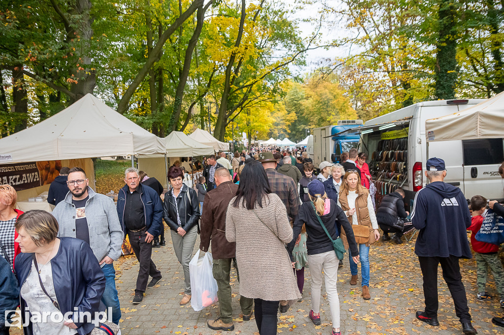 Hubertus Wielkopolski 2022 - dzień drugi